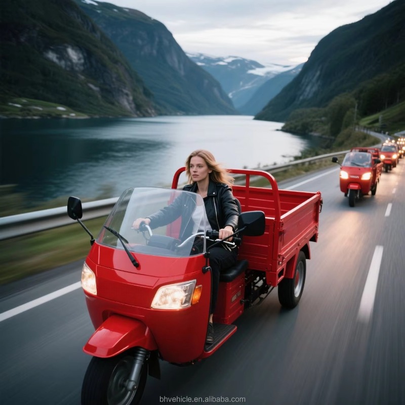 Warehouse Ready Open Cab Elect - Urban Farming And Rural Farming recension och pris