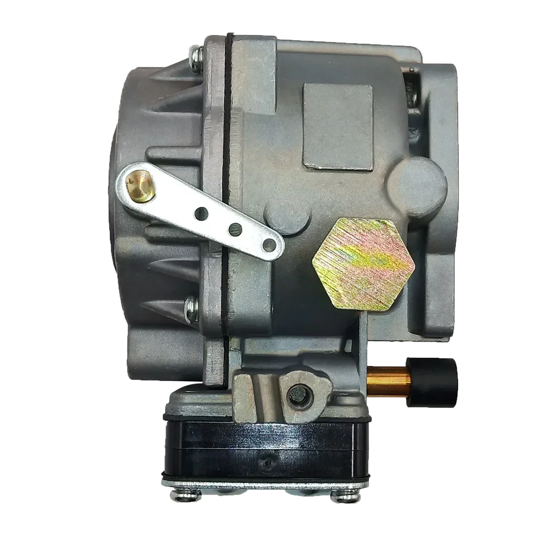 Carburetor Kit for Briggs & St - Urban Farming Kit recension och pris